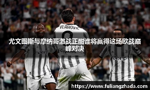 zoty中欧官方网站